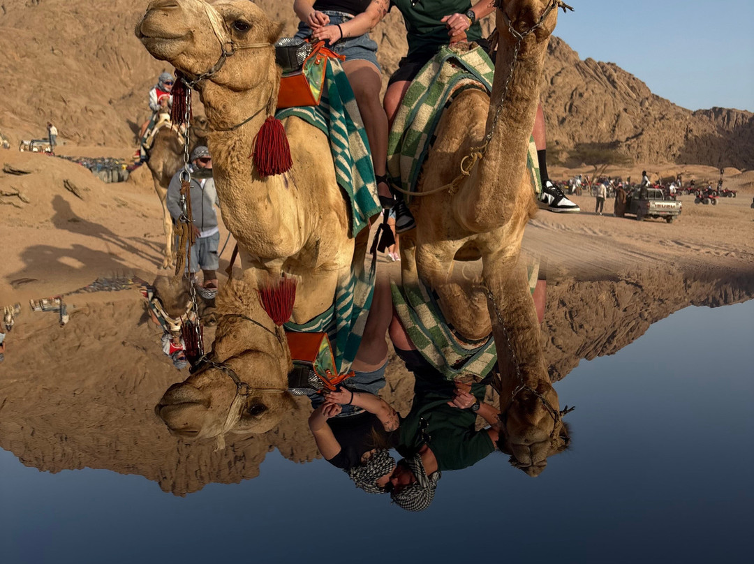 Bibo Viaggi-沙姆沙伊赫必去景点