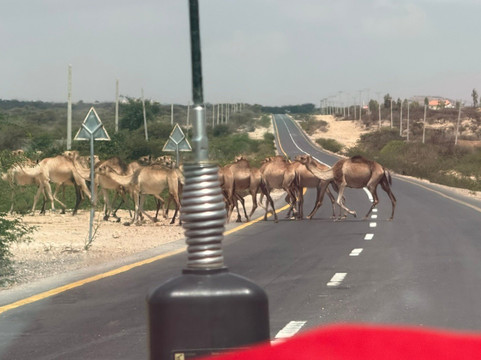 Visit Horn Africa-Hargeysa必去景点