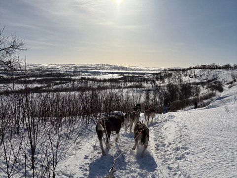 Aurora Service Tours-Utsjoki必去景点