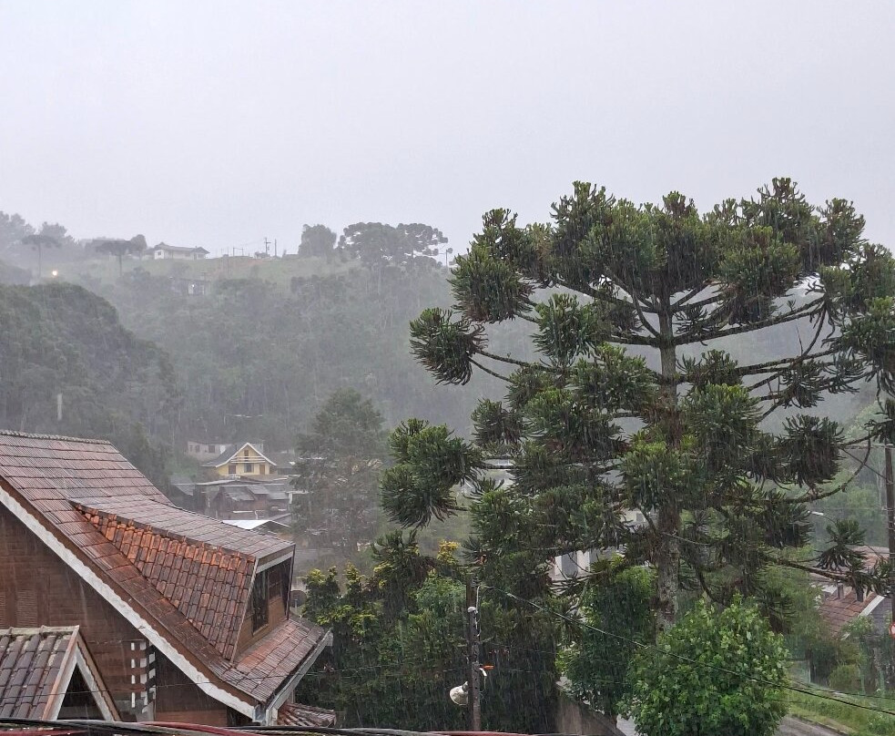 Chocolate Araucaria-坎普斯－杜若尔当必去景点
