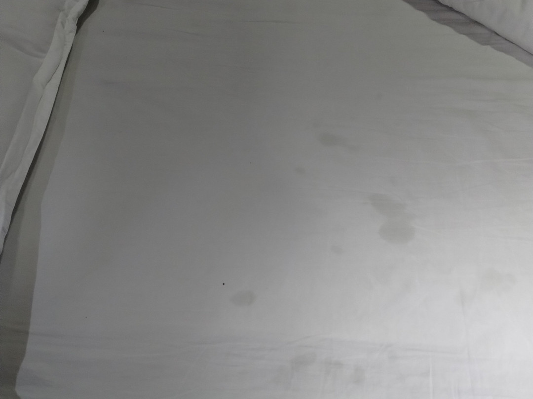 哥斯达黎加米兰酒店主图