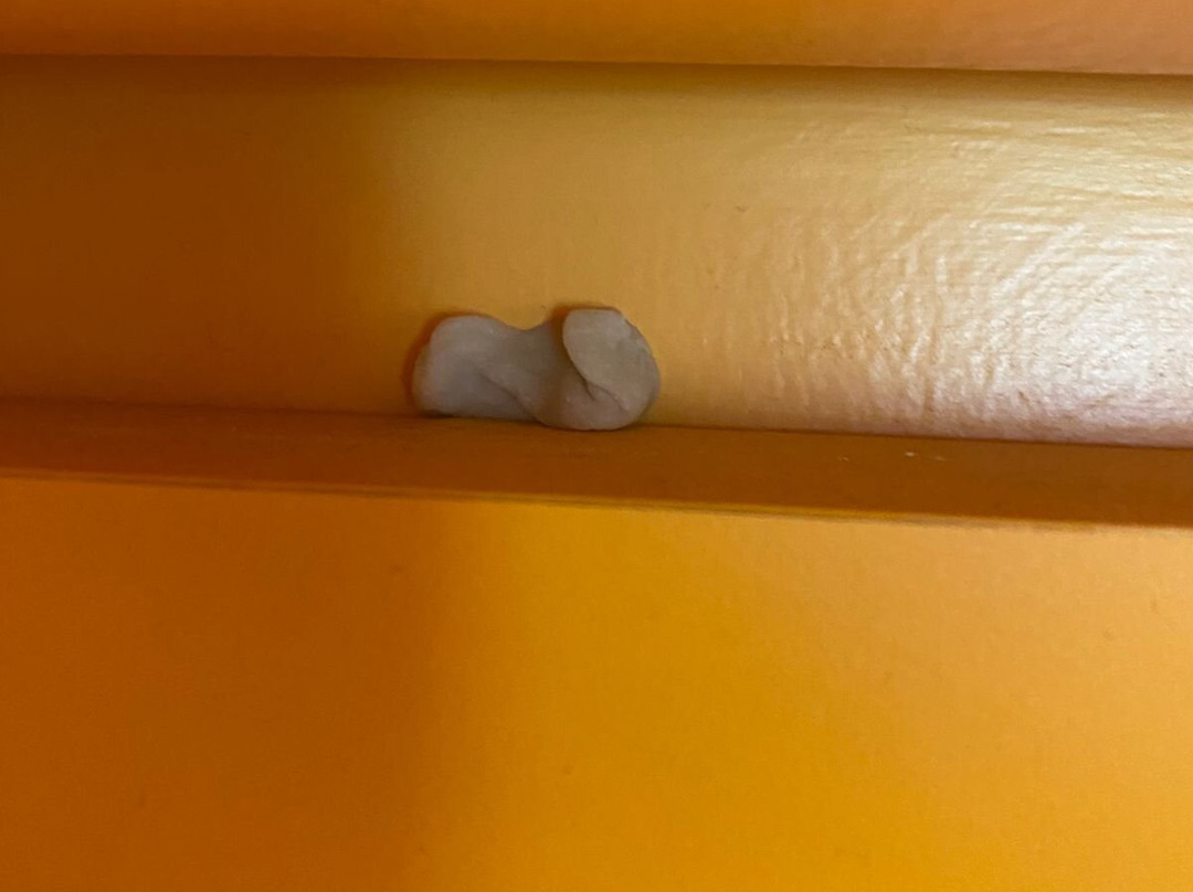 宜必思快捷法罗皮利亚酒店主图