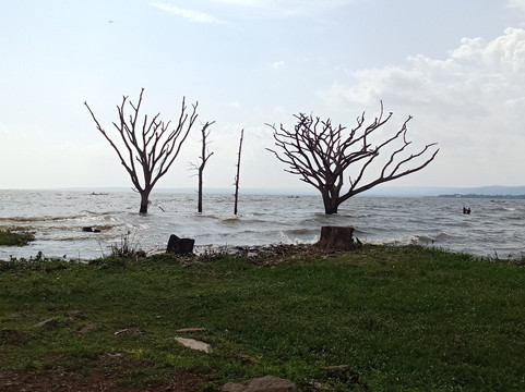 Kisumu Impala Sanctuary-基苏木必去景点