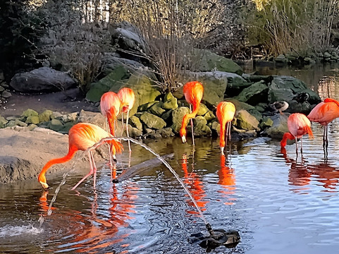 Plantropica-Luttelgeest必去景点