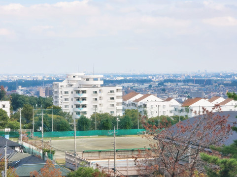 Mt. Asahi View Park-饭能市必去景点
