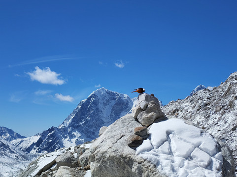 Mountain Ram Adventures-加德满都必去景点