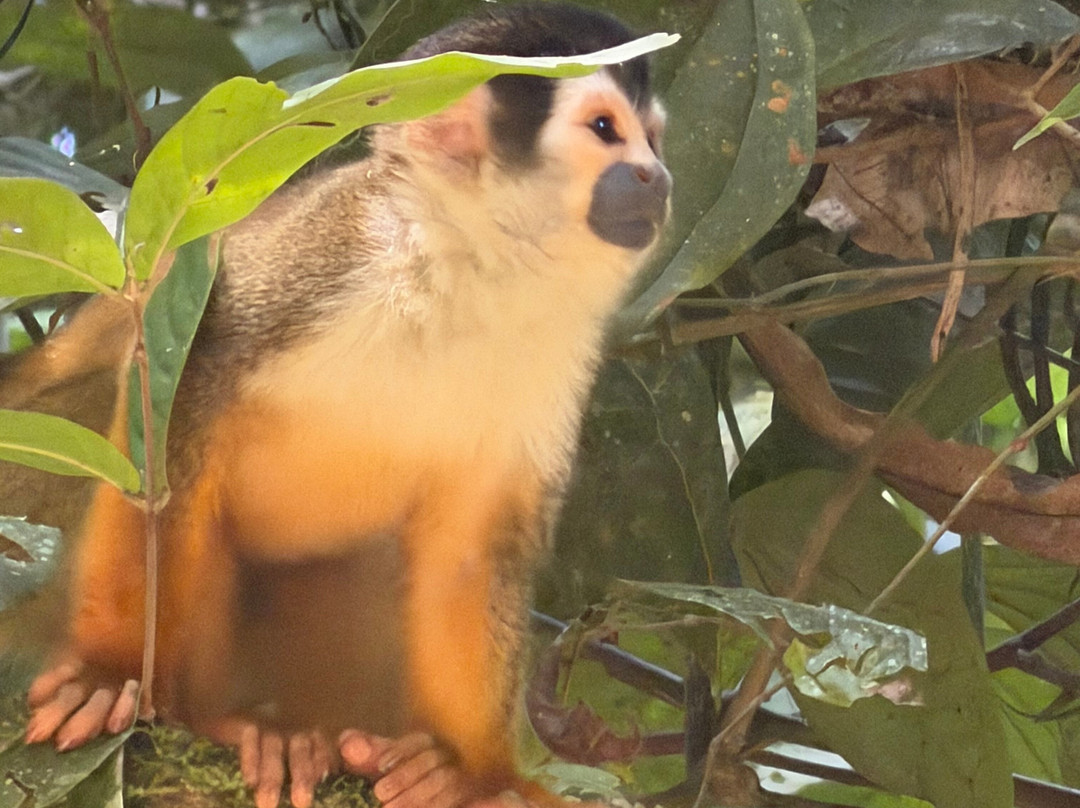 Hotel Jade Mar-Bahia Drake必去景点