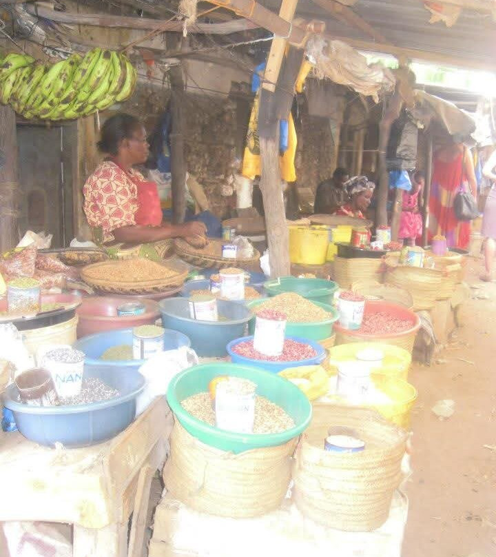 Info Kenya Tours-瓦塔木必去景点