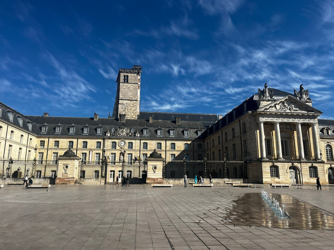 Place de la Liberation-第戎必去景点