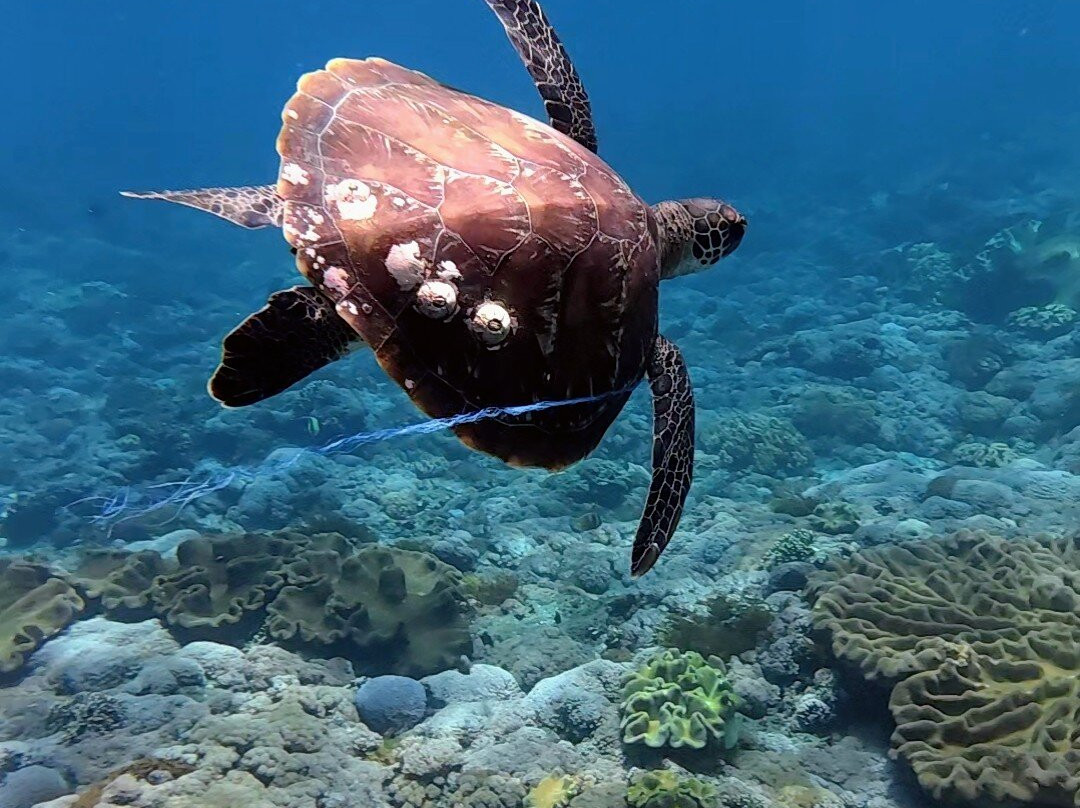 Nusa Penida Sea View-珀尼达岛必去景点