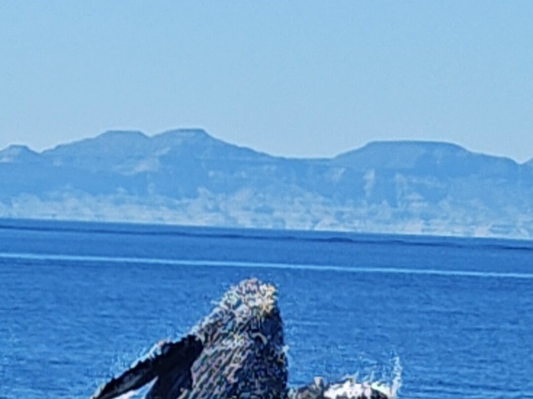 Baja Off Shore-拉巴斯必去景点