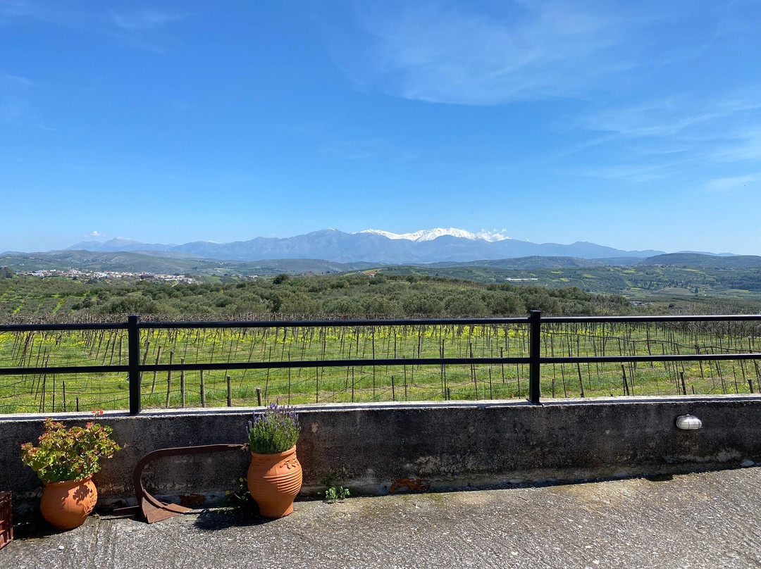 Winery Stilianou-Archanes必去景点