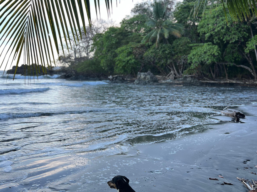 Refugio Nacional Mixto de Vida Silvestre Romelia-蒙特祖玛必去景点