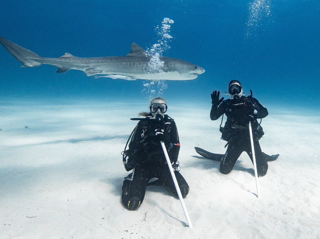 Epic Diving-West End必去景点