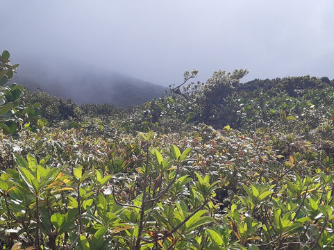 Symbiose Caraibes-Saint-Claude必去景点