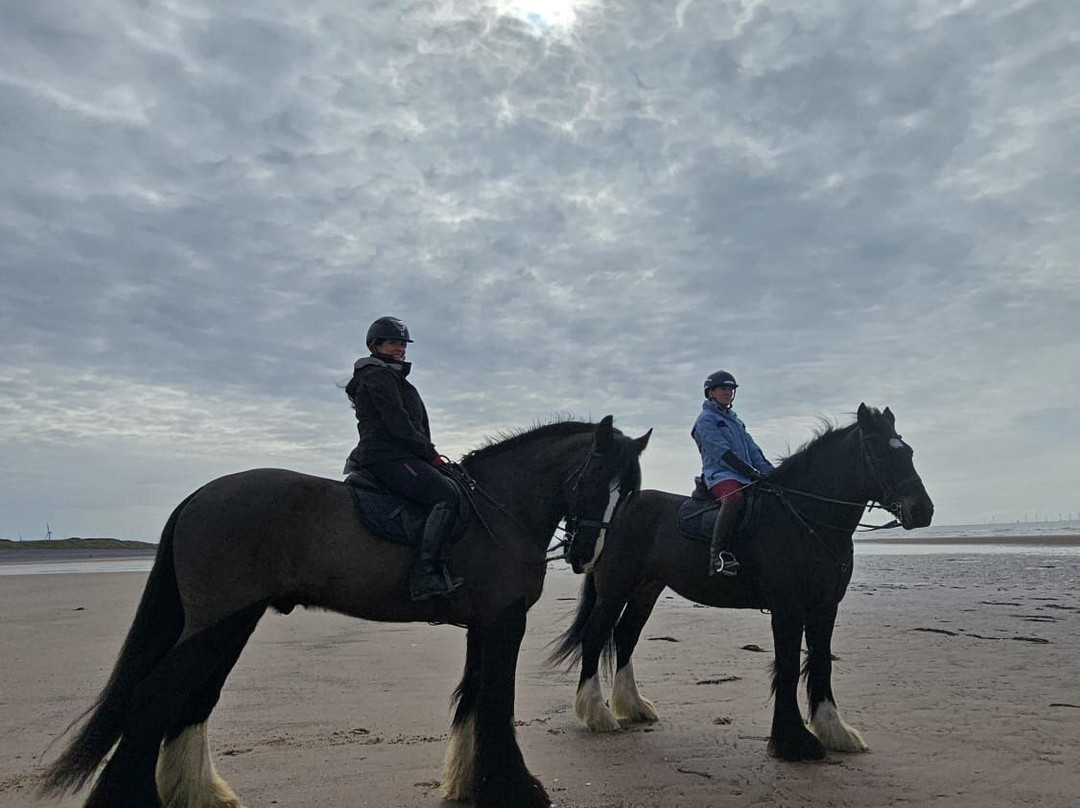 Cumbrian Heavy Horses-Millom必去景点