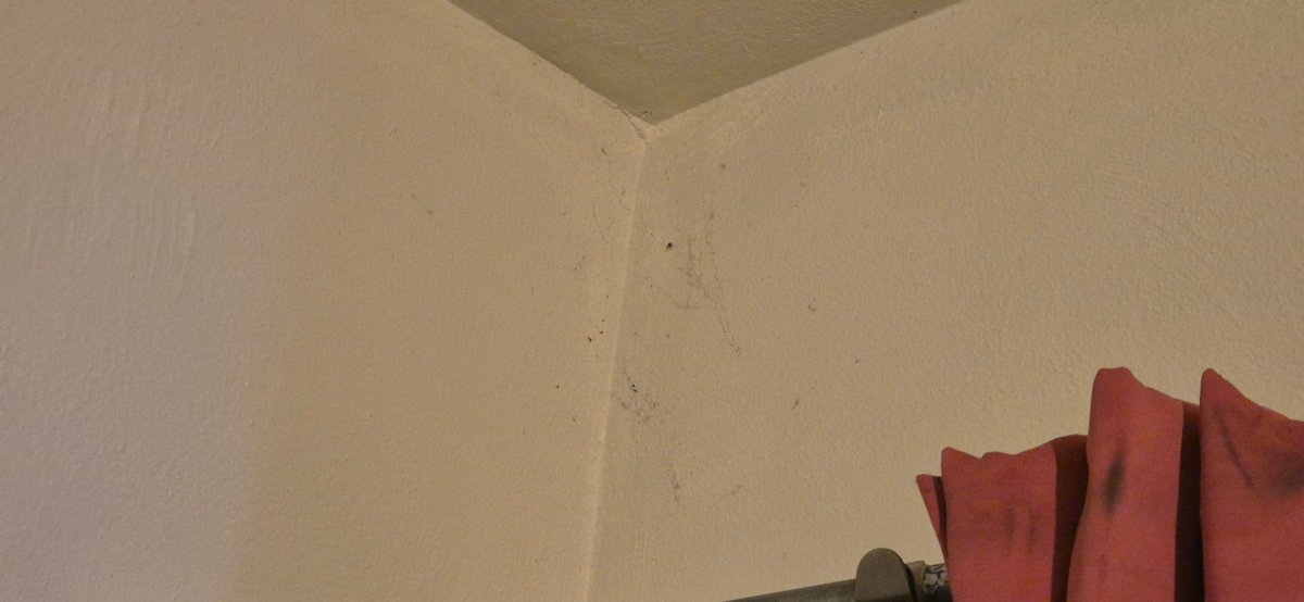 本土酒店及Spa-官方