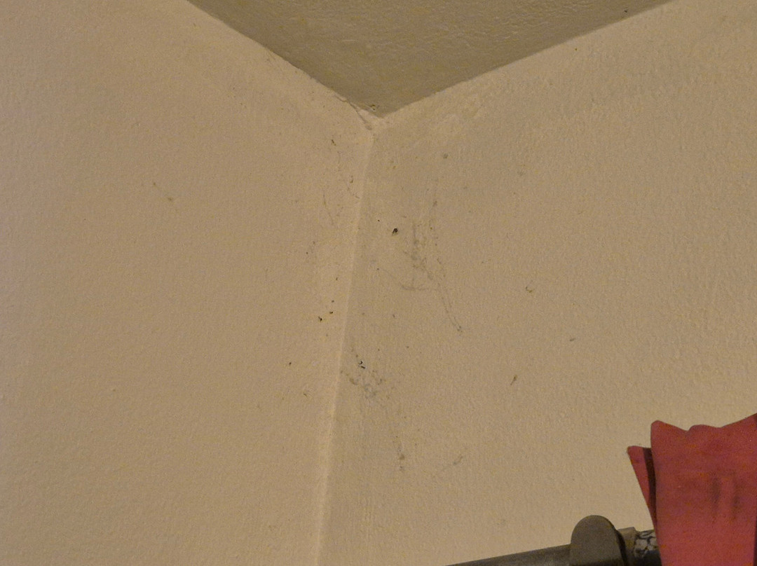 本土酒店及Spa主图