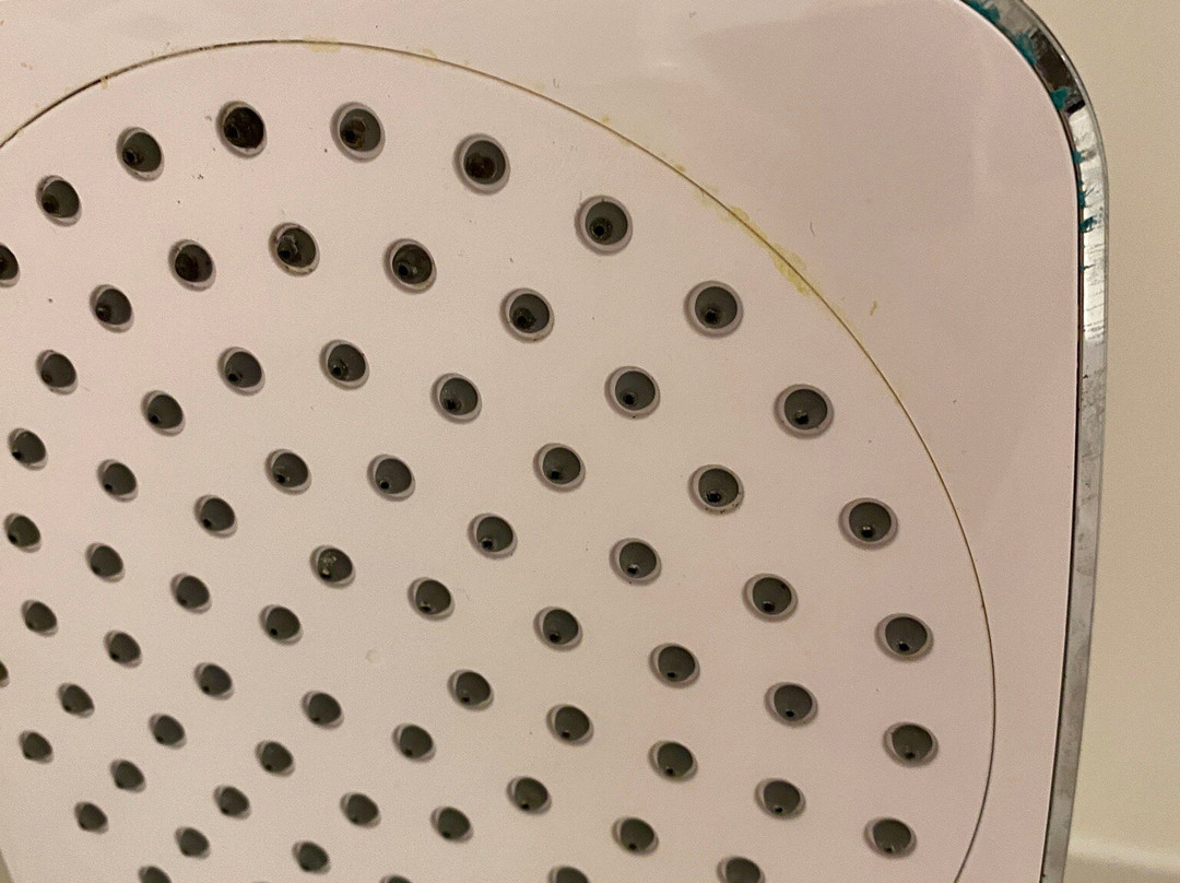 白金汉普瑞米尔酒店主图