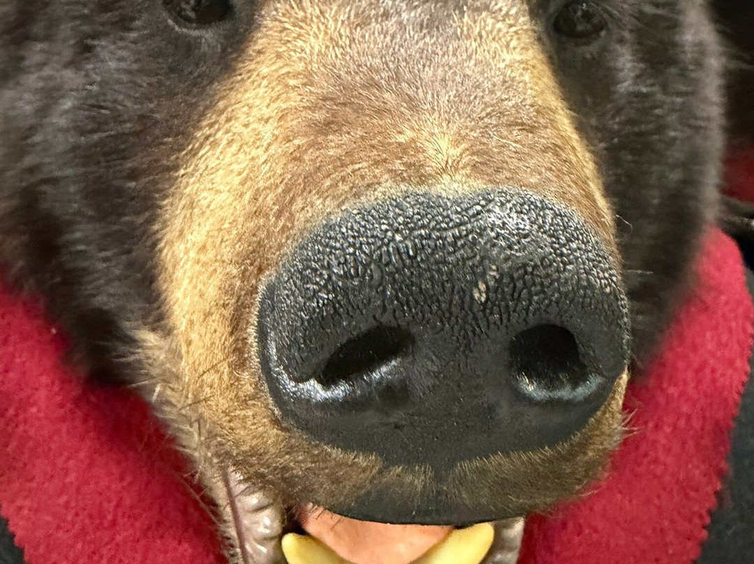 New Oxford Antique Center-New Oxford必去景点