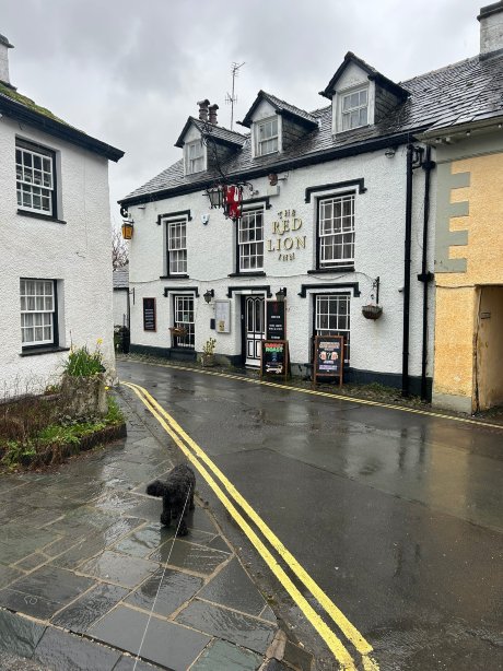 Red Lion Inn-官方
