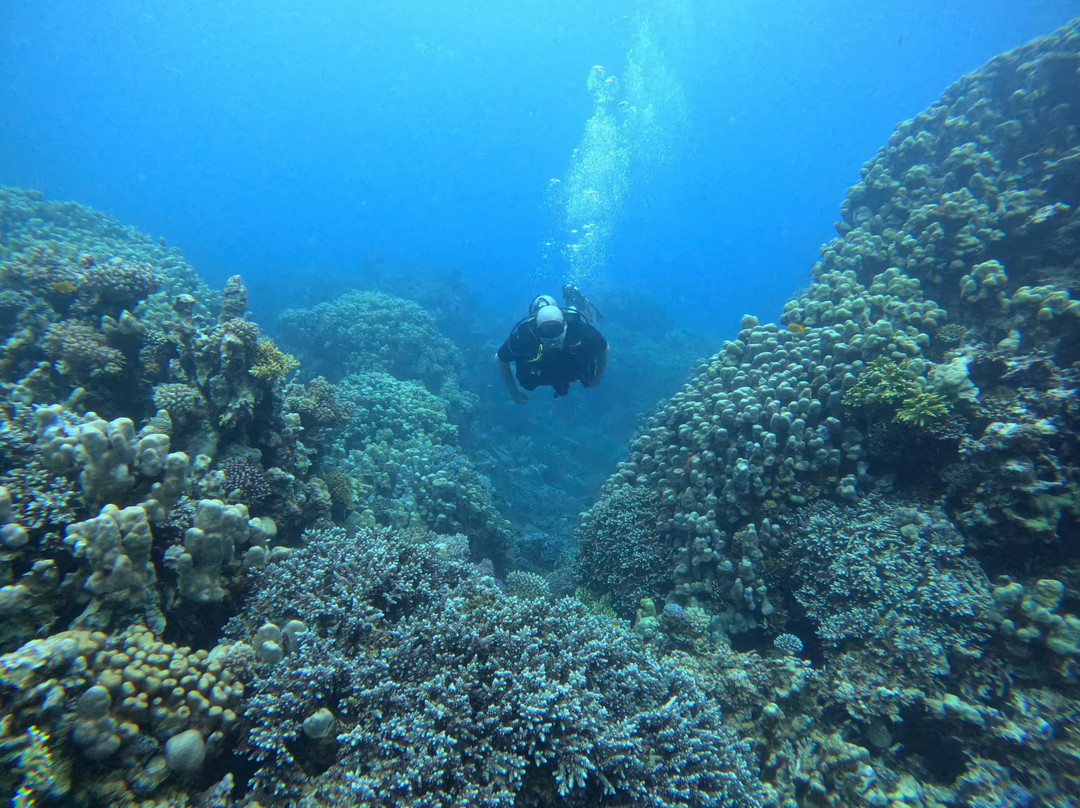 Desert Divers Dahab-达哈卜必去景点