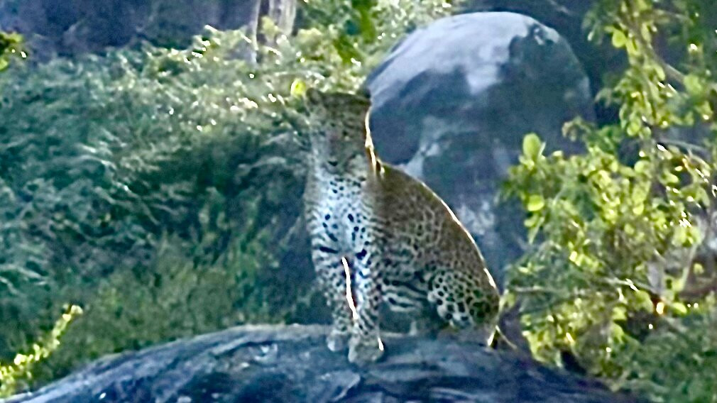 Experiential Journeys-科伦坡必去景点