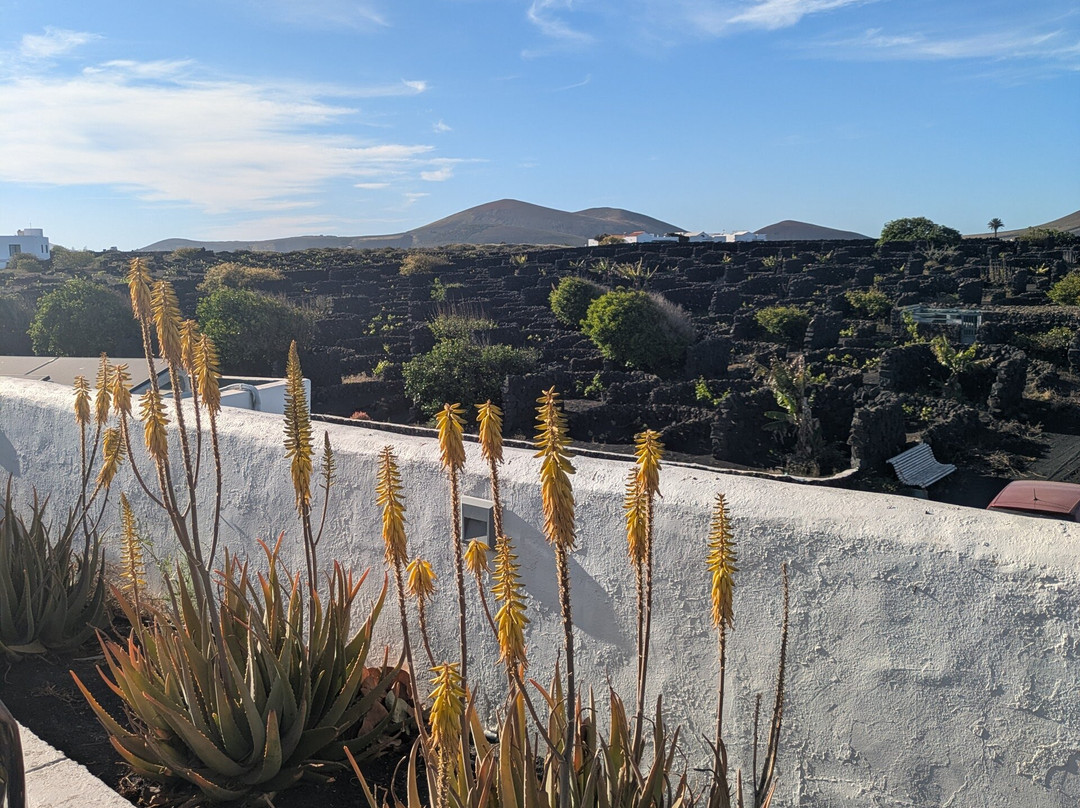 佛罗里达州德拉乡村酒店主图