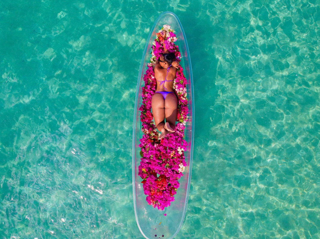 FANAS AIR LUXURY TOURS-Lucea必去景点