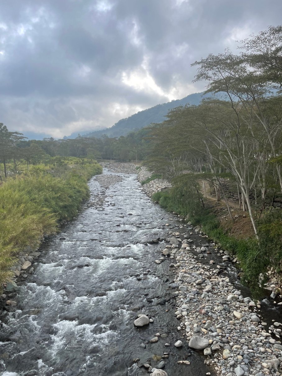 博克特花园旅馆-官方