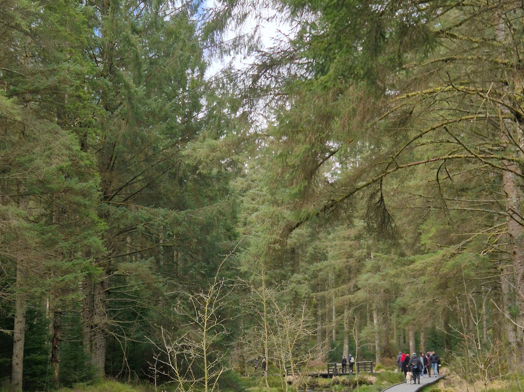 Hafren Forest-Llanidloes必去景点