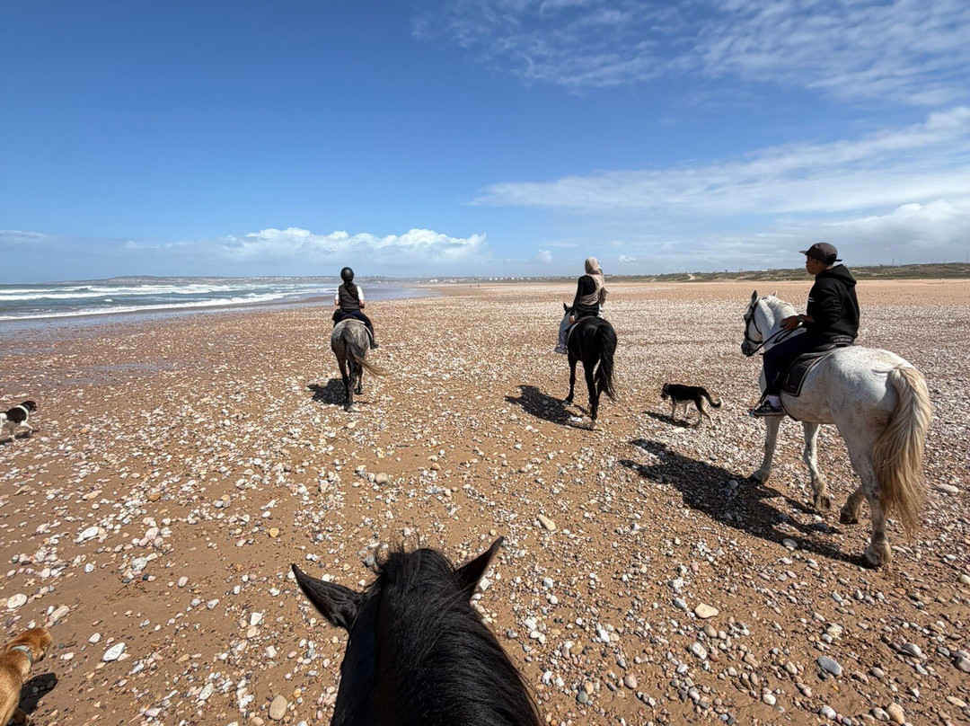 Essaouira Dreamers-索维拉必去景点