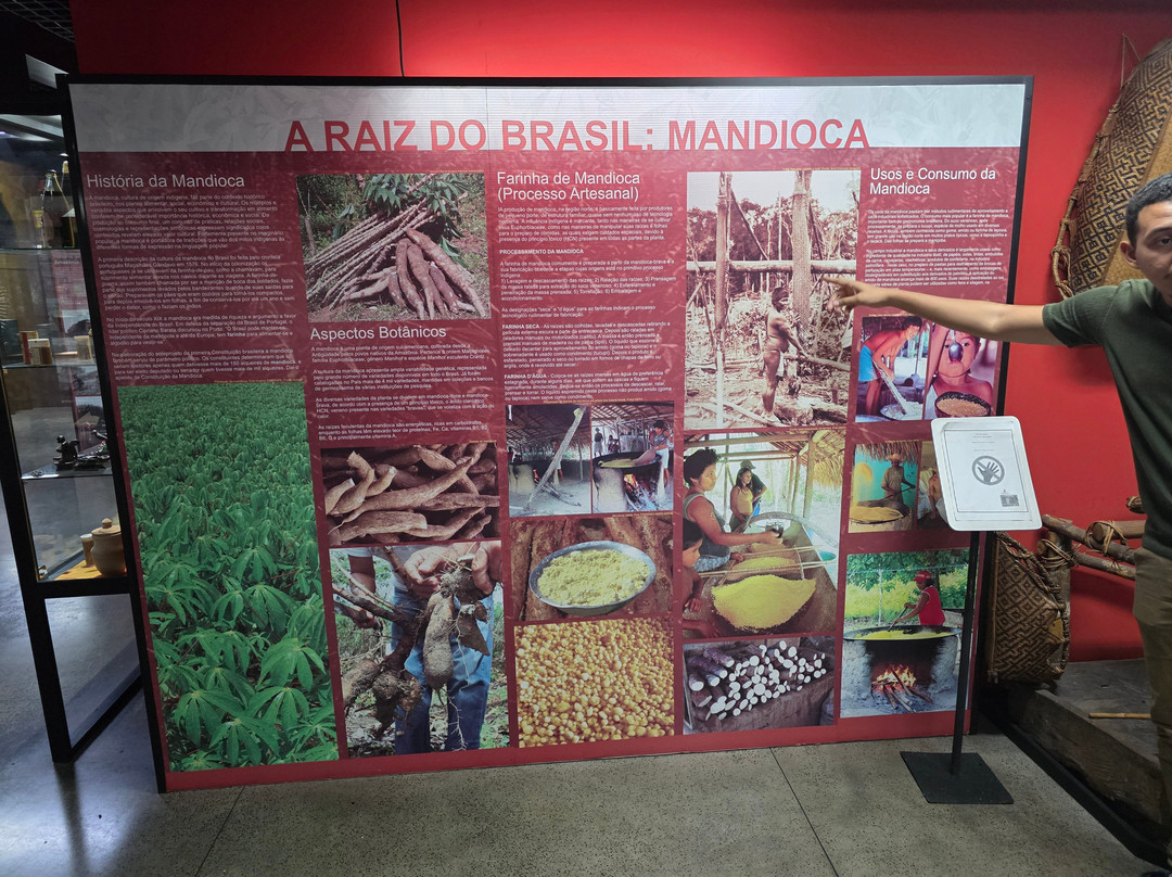 Cultural Centre of the Peoples of the Amazon-玛瑙斯必去景点