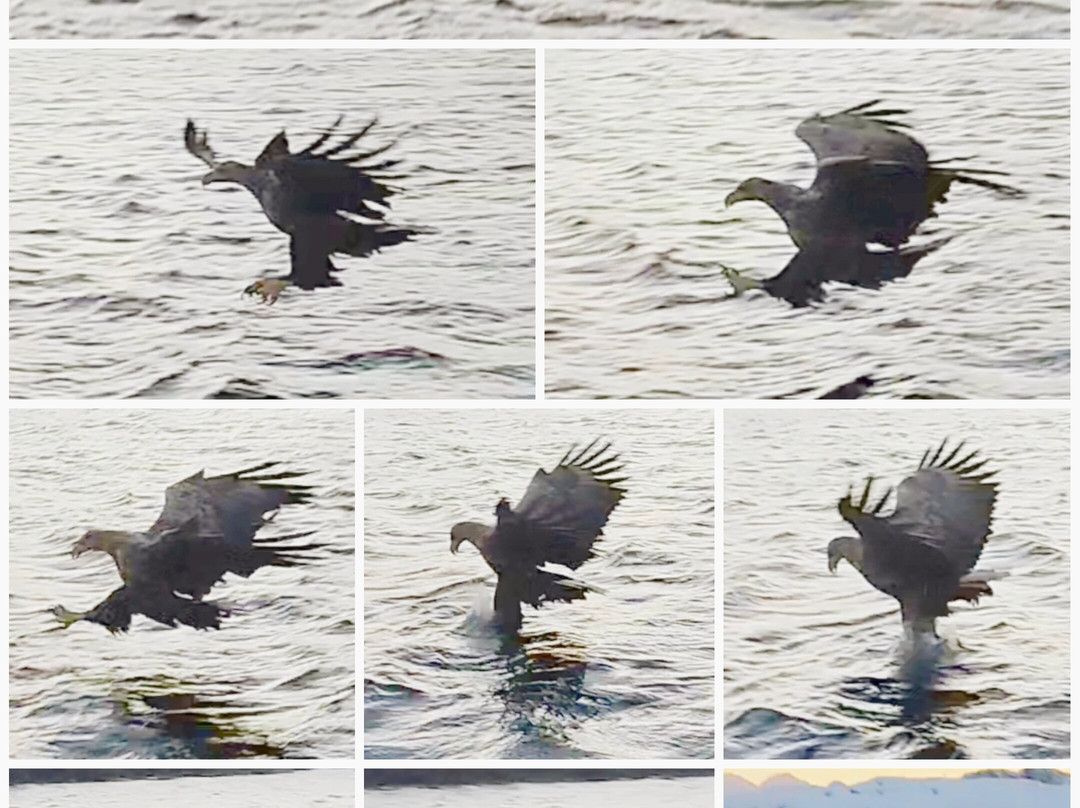 Go2Lofoten-斯沃尔韦尔必去景点