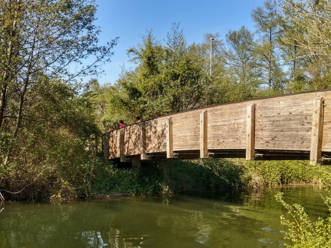 Villaggio Operaio Di Varano Borghi-Varano Borghi必去景点