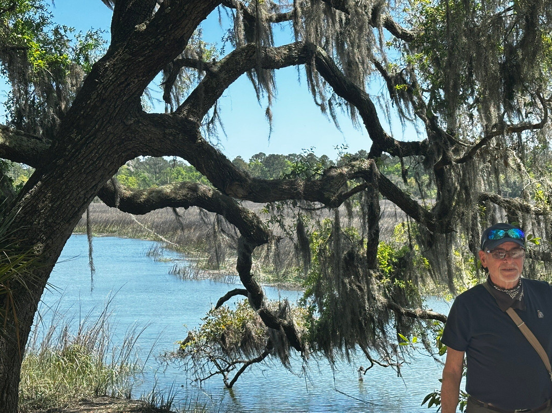 Wormsloe Historic Site-萨凡纳必去景点