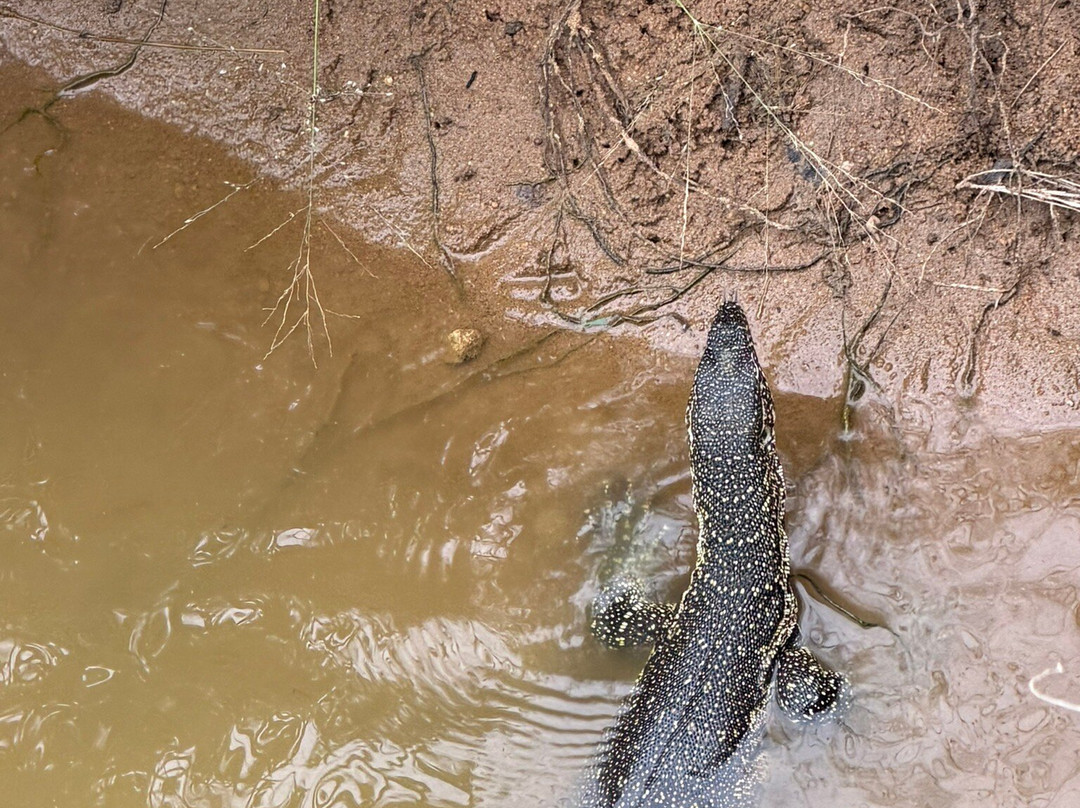 Touched By Nature-雾观必去景点