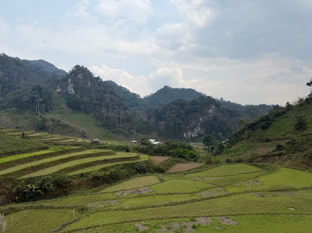 Ba Be Jungle Houses主图