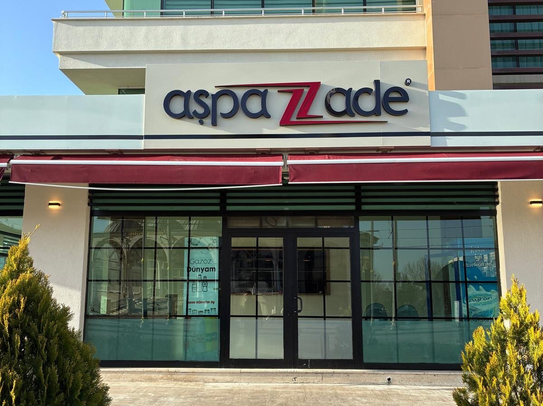 AŞPAZZADE