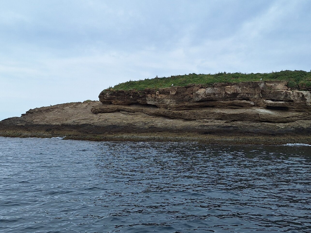Seahorse Dive Center-瓦里必去景点