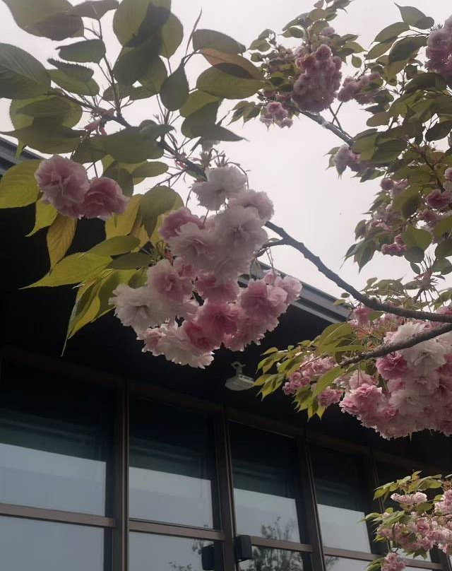 苏州阳澄湖悦柳酒店主图