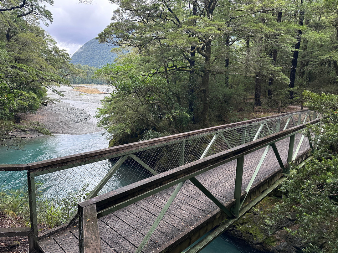 Lake Daniell Track-Springs Junction必去景点