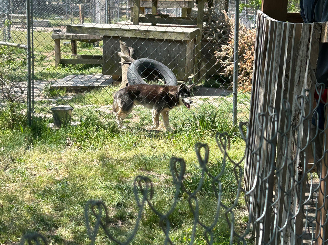 Animal Park NC-伯灵顿必去景点