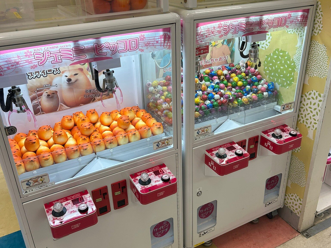 Ito-Yokado Musashisakai-武藏野市必去景点