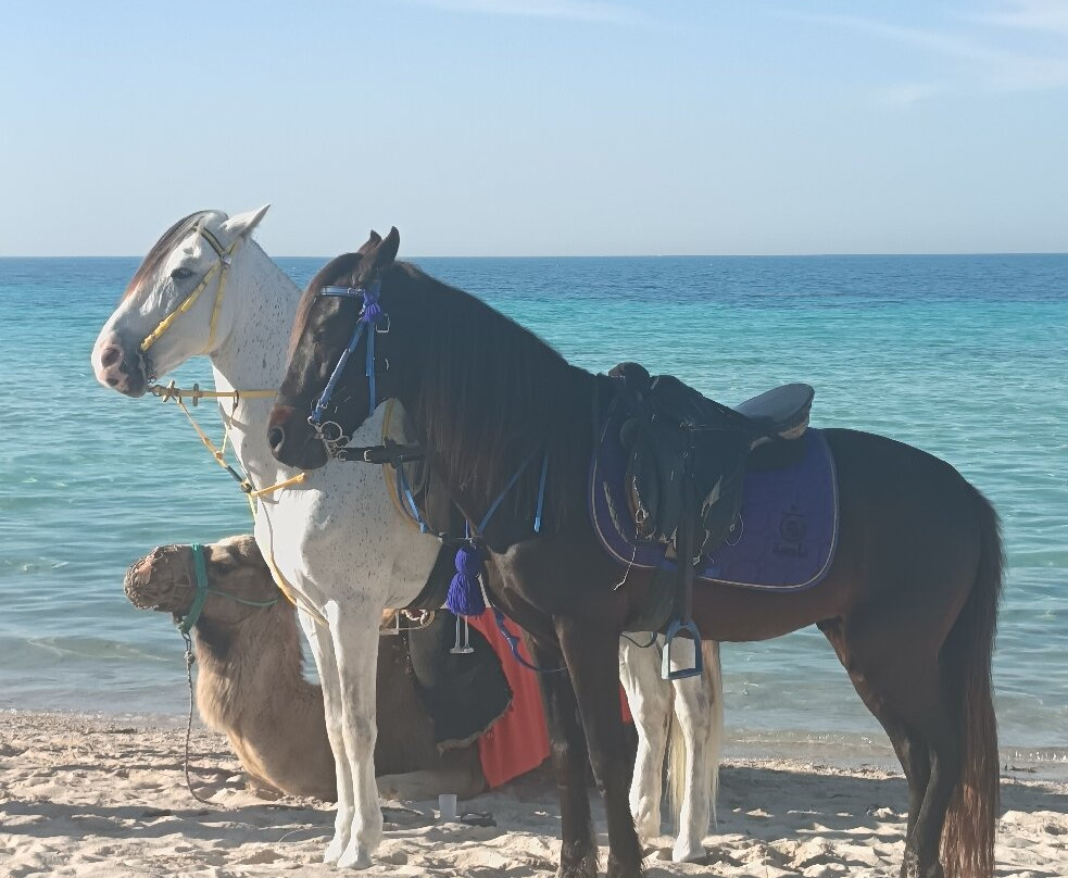 Ranch Le Pacha-米栋必去景点