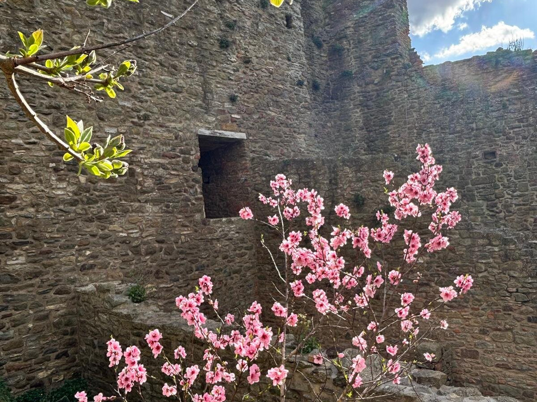 Castello di Montecchio Vesponi-菲奥伦蒂诺堡必去景点