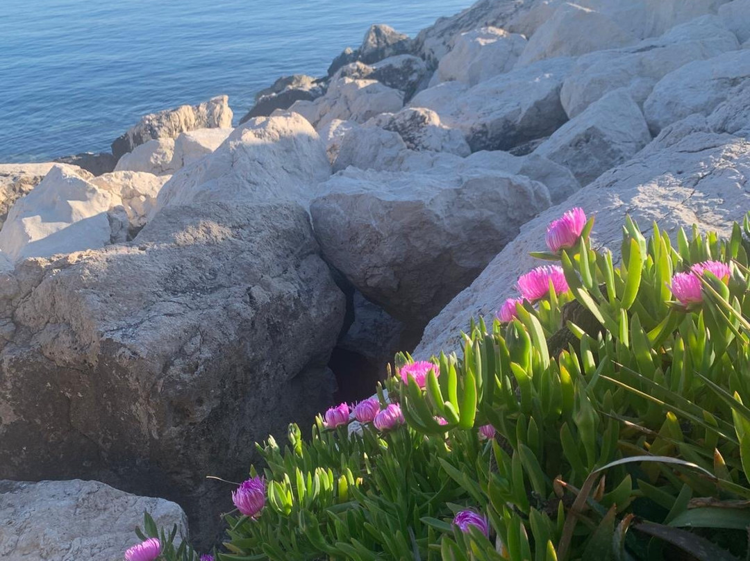 阿斯塔雷酒店主图