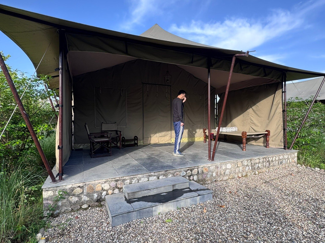 Aalia丛林班达再次主图