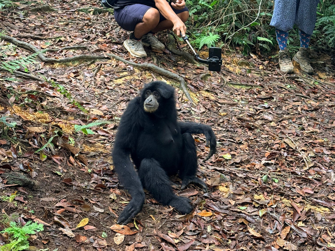 Explore Sumatra Wonder-武吉拉旺必去景点