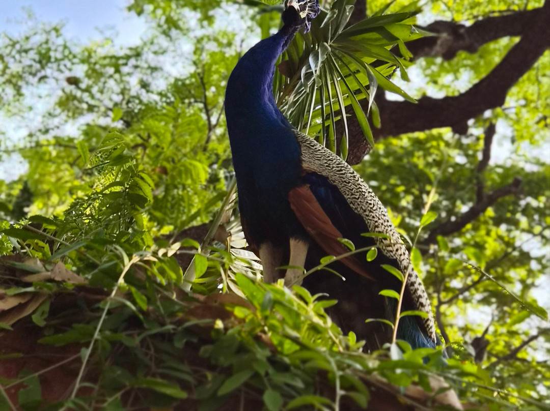 Gateway马杜赖主图